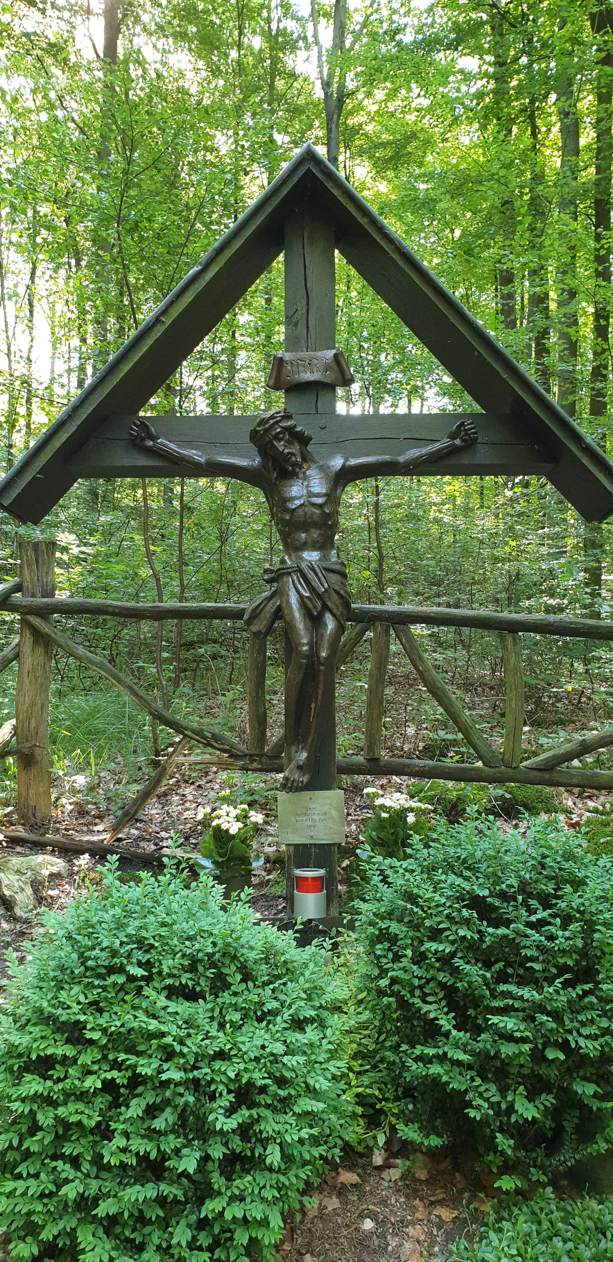 Das Kreuzglöckchen in der Rhonard Pastoraler Raum Olpe Drolshagen