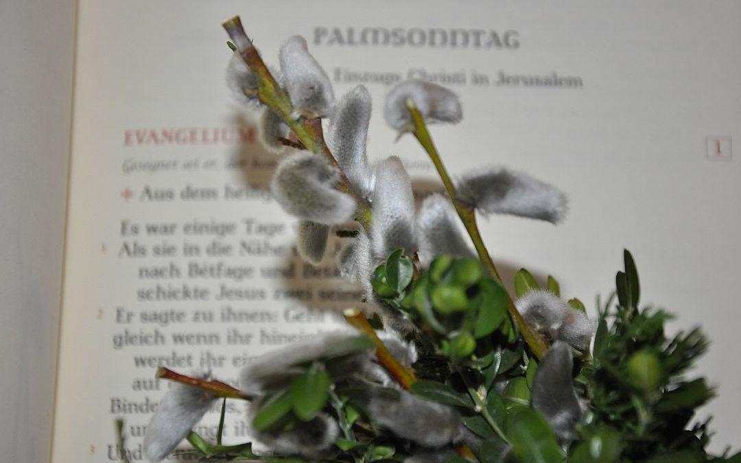 Palm­sträuße in St. Marien Dahl-Fried­richstal segnen lassen