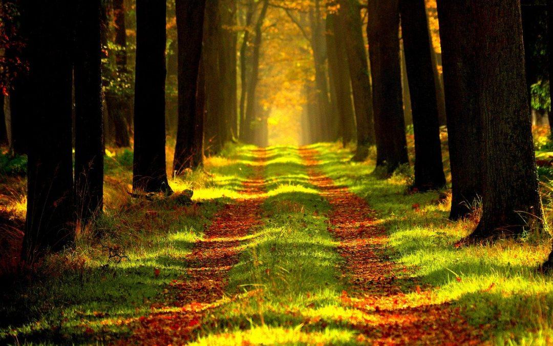 Zwei Spir­tu­elle Wanderungen