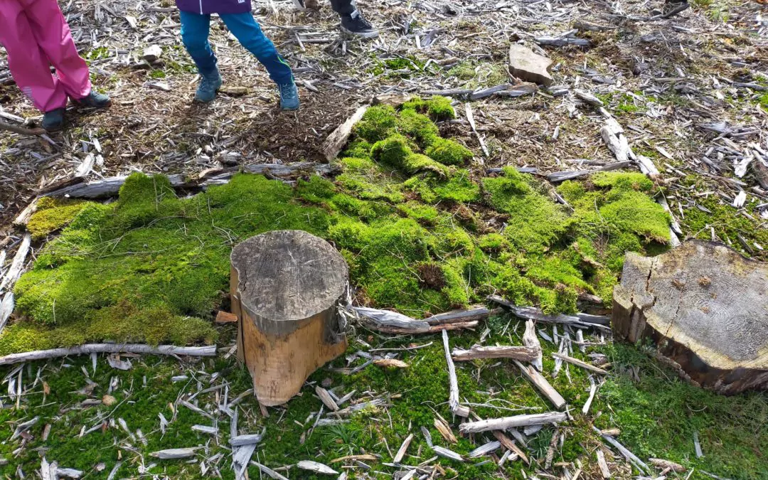 Bei Wind und Wetter durch den&nbsp;Wald