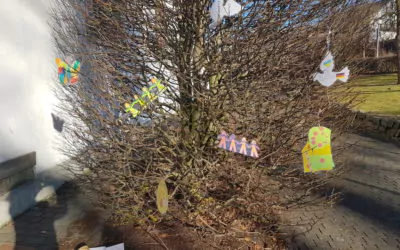 Friedensbaum in Neuenkleusheim