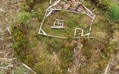 Wald­woche auch in diesem Jahr erfolg­reich abgeschlossen