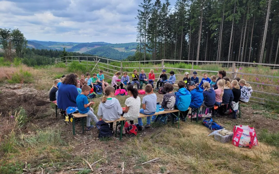 Beliebte ‚Wald­woche‘ mit der OT Olpe wieder ein voller Erfolg