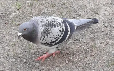 Gedanken zum Tag — 15. Mai 2024 — Mittwoch der 7. Osterwoche