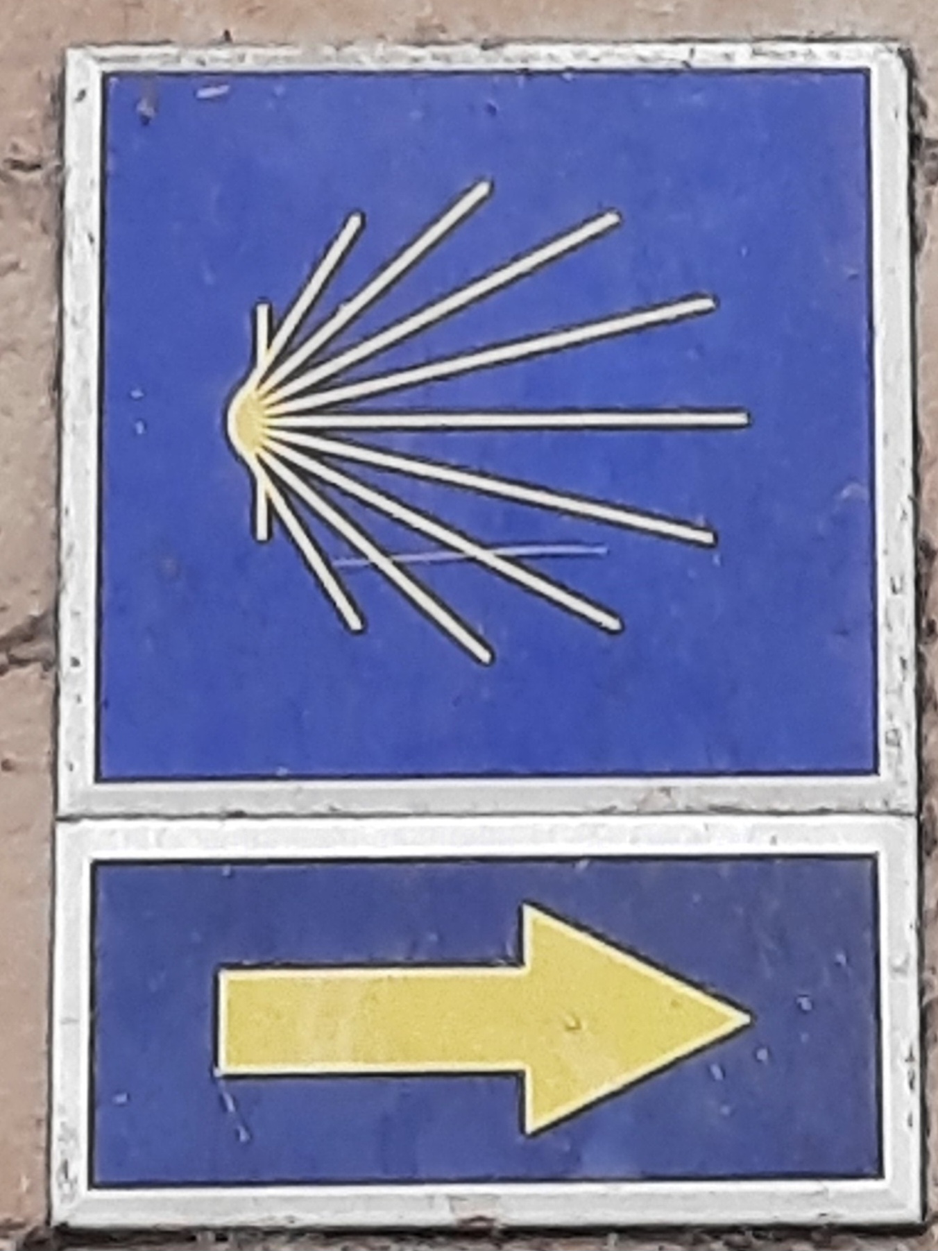 20240904_111457.jpg