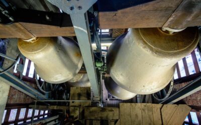 Gedanken zum Tag – 18. Januar 2026 – Zweiter Sonntag im Jahreskreis