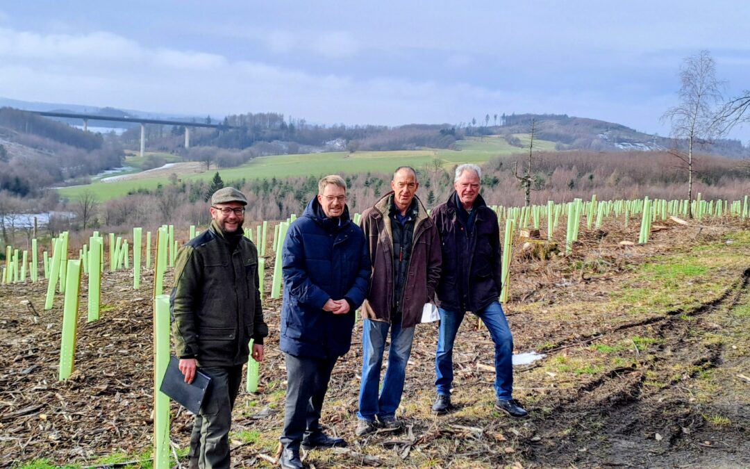 29.000 neue Bäume für&nbsp;Olpe