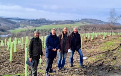 29.000 neue Bäume für Olpe