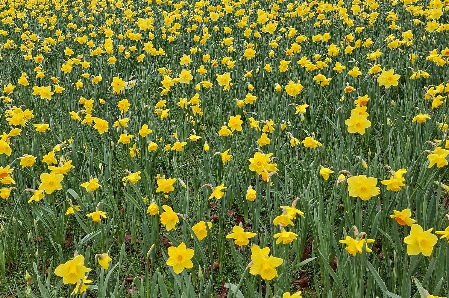 Gedanken zum Tag – 01. April 2026 – Mitt­woch der Karwoche