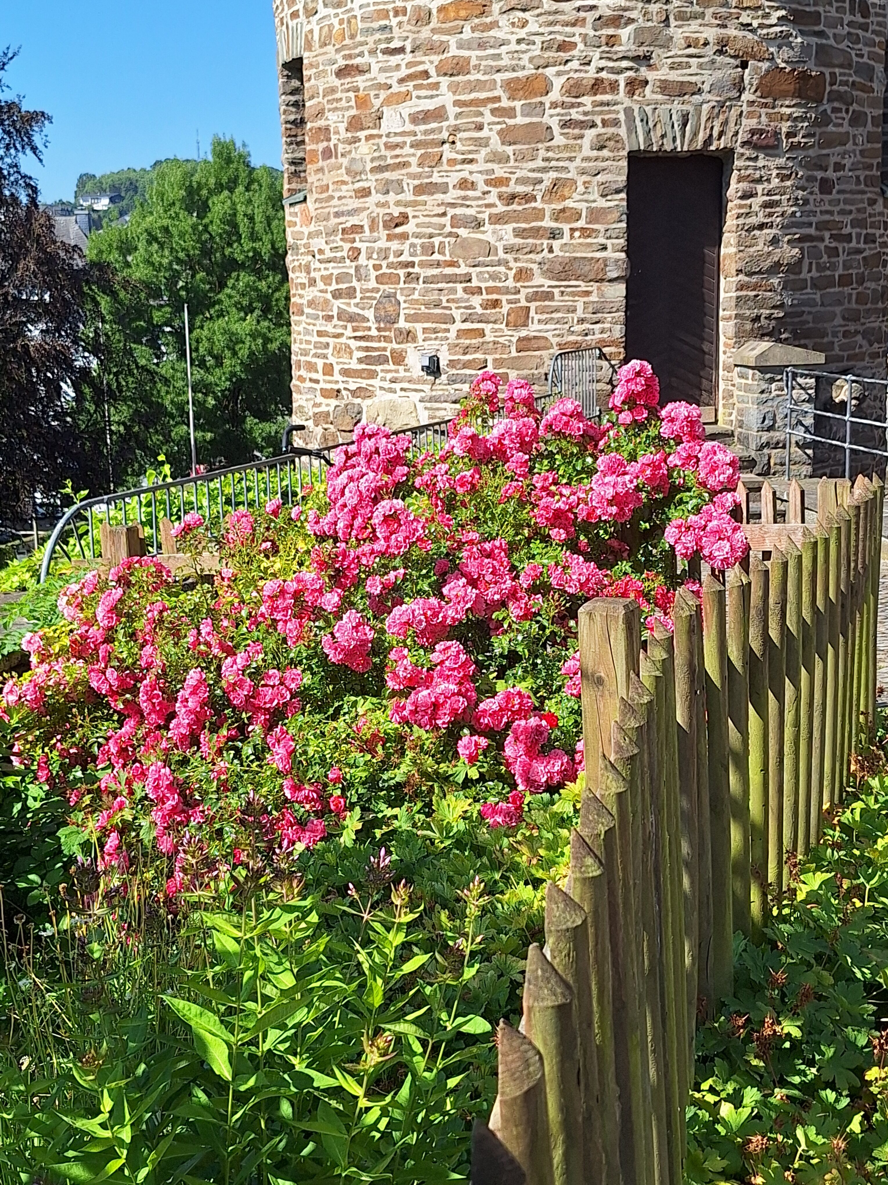 Gedanken zum Tag – 22. Juli 2026 – Jahrestag der Weihe der Paderborner Bischofskirche